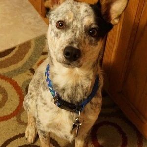 Meet your Posher, Krystal